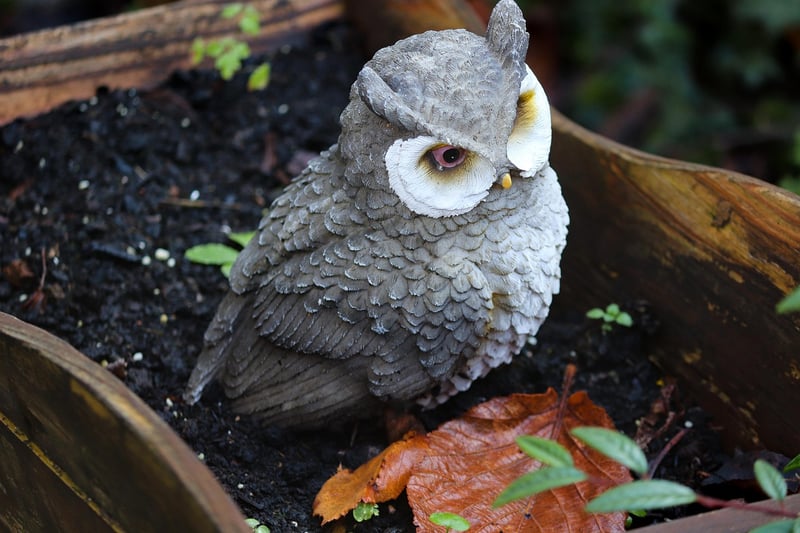 Creative Gardening Crafts